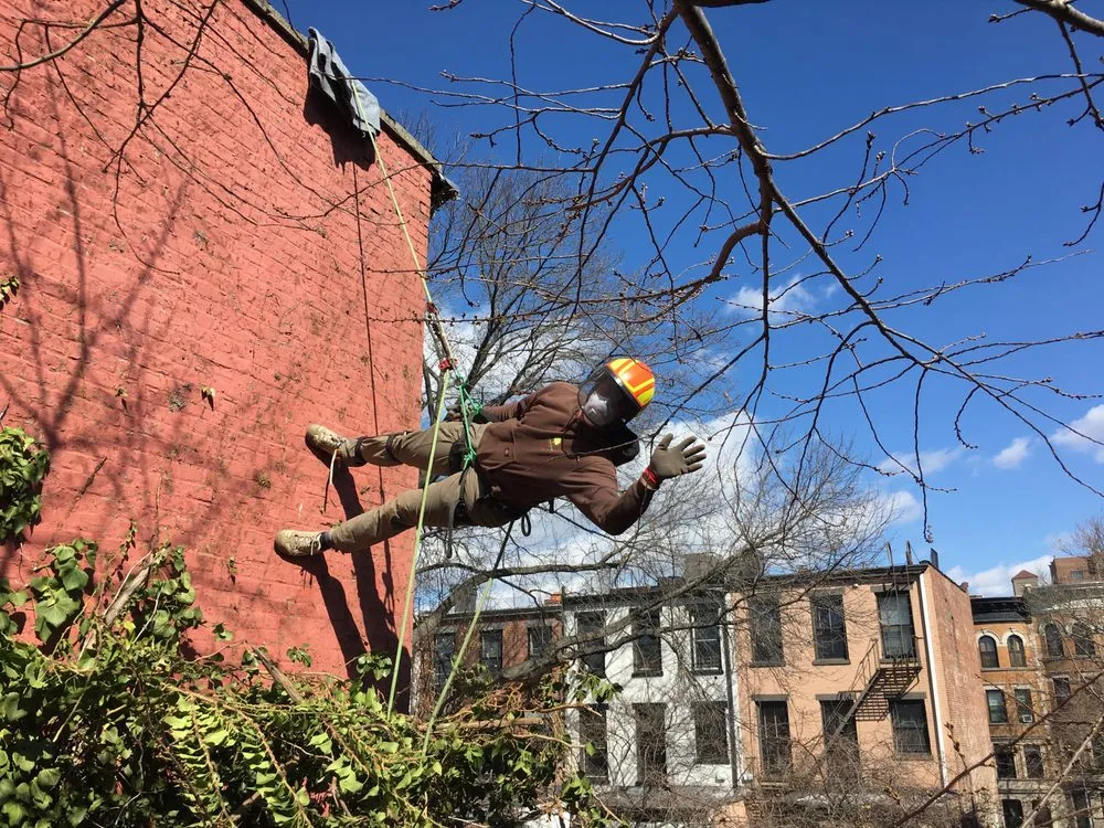 Professional outdoor landscaping experts serving Brooklyn, NY - Arborpolitan Tree & Garden Care