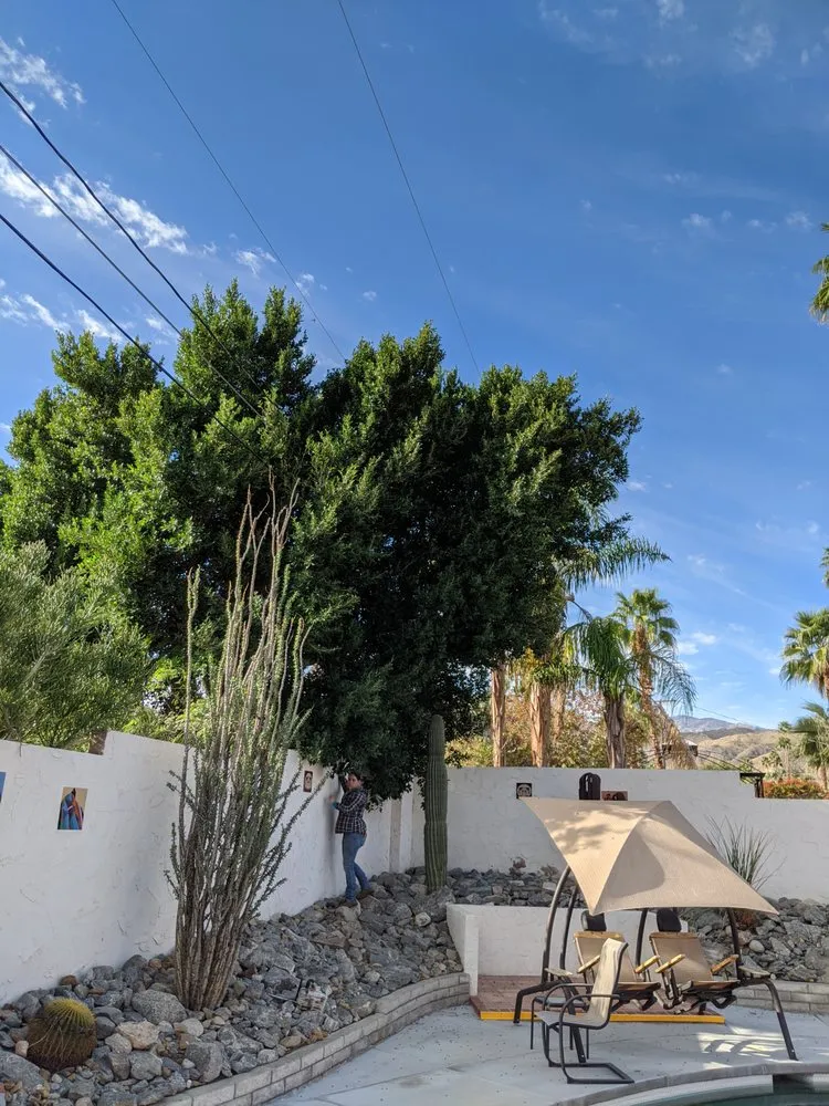 Expert outdoor landscaping in Yucca Valley, CA - ArborPro