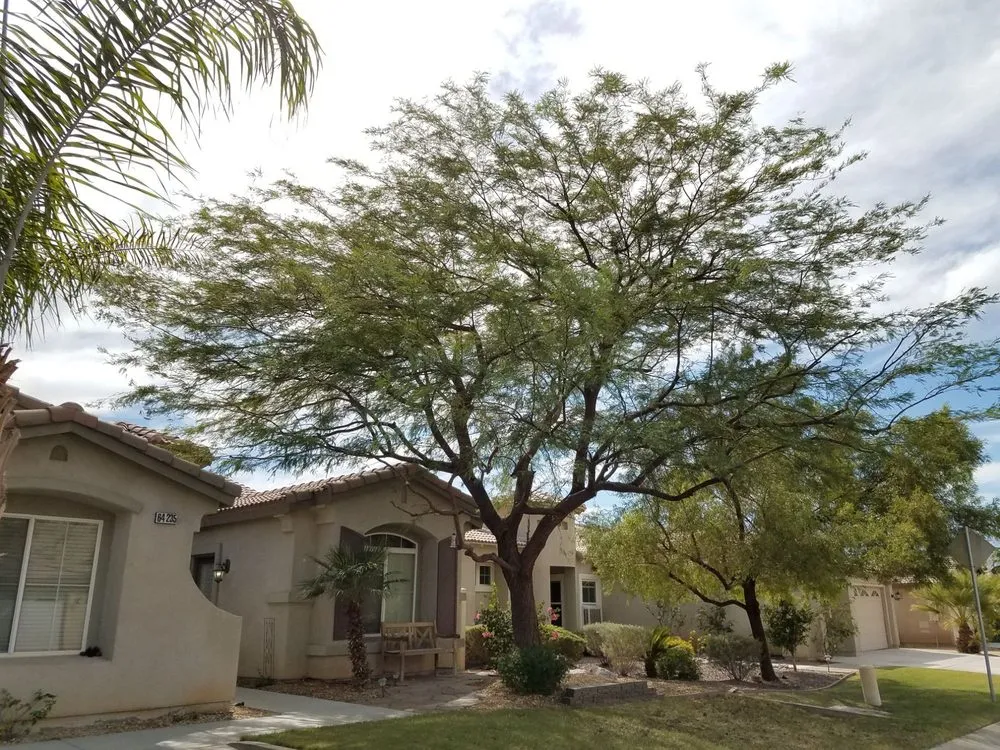 Professional residential landscaping in Yucca Valley, CA by ArborPro