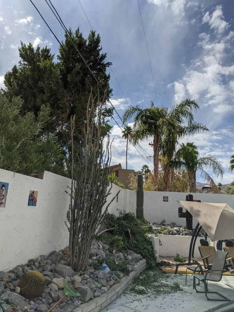 Affordable garden landscaping for homes across Yucca Valley, CA - ArborPro