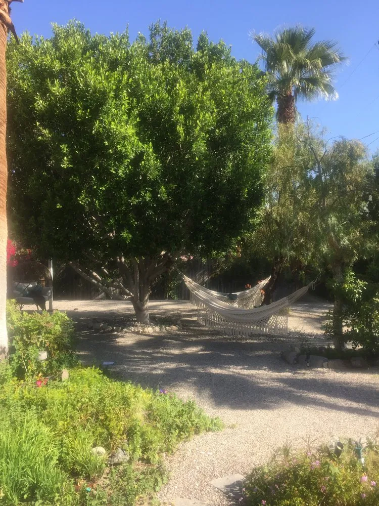 Affordable outdoor landscaping for beautiful yards in Yucca Valley, CA by ArborPro
