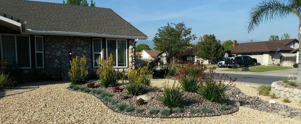Local landscape design for year-round maintenance in Riverside, CA by Arborscape