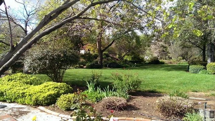 Custom outdoor landscaping for residential properties in Riverside, CA by Arborscape