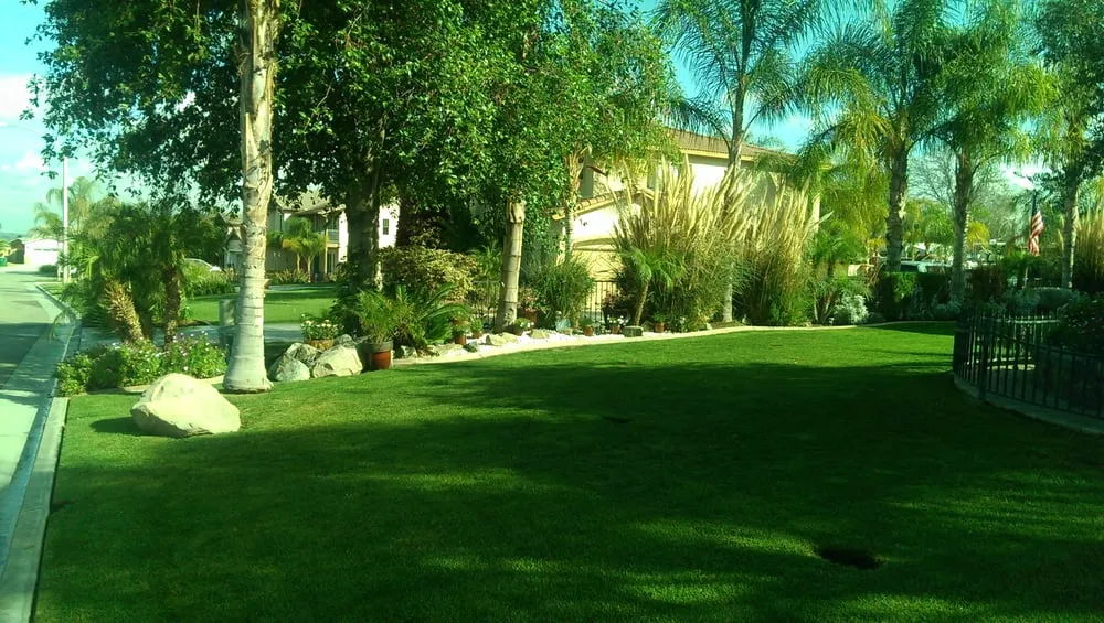 Top-rated residential landscaping with custom design in Riverside, CA by Arborscape