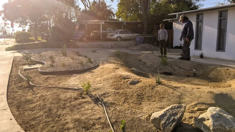 Professional yard cleanup service experts serving Riverside, CA - Arborscape