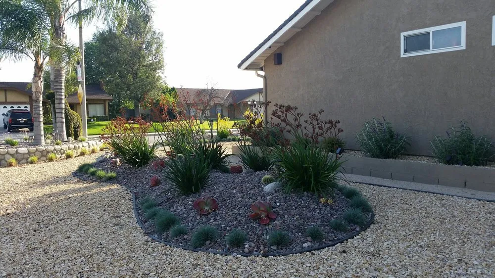 Affordable residential landscaping for year-round maintenance in Riverside, CA by Arborscape
