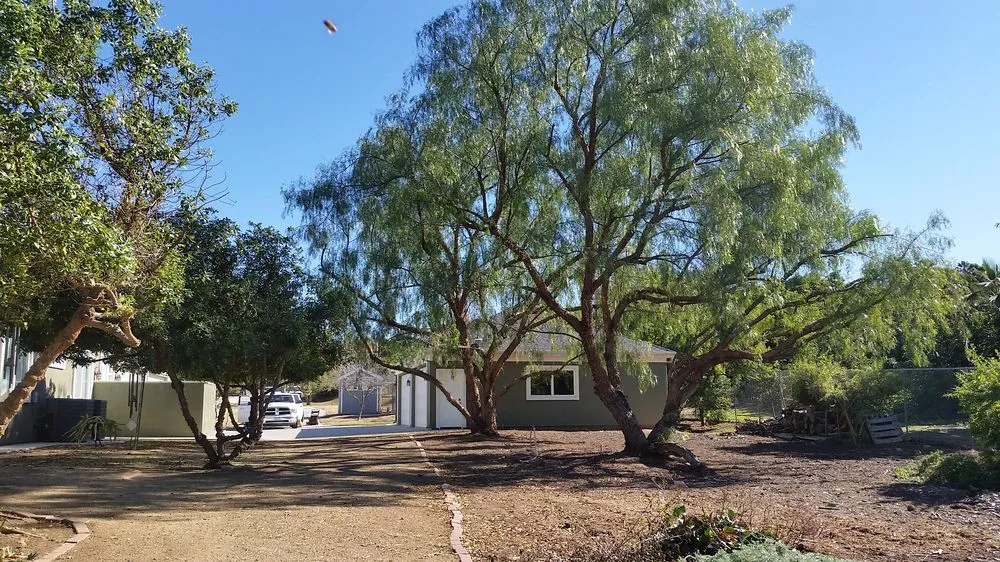 Reliable residential landscaping for outdoor upgrades across Riverside, CA - Arborscape