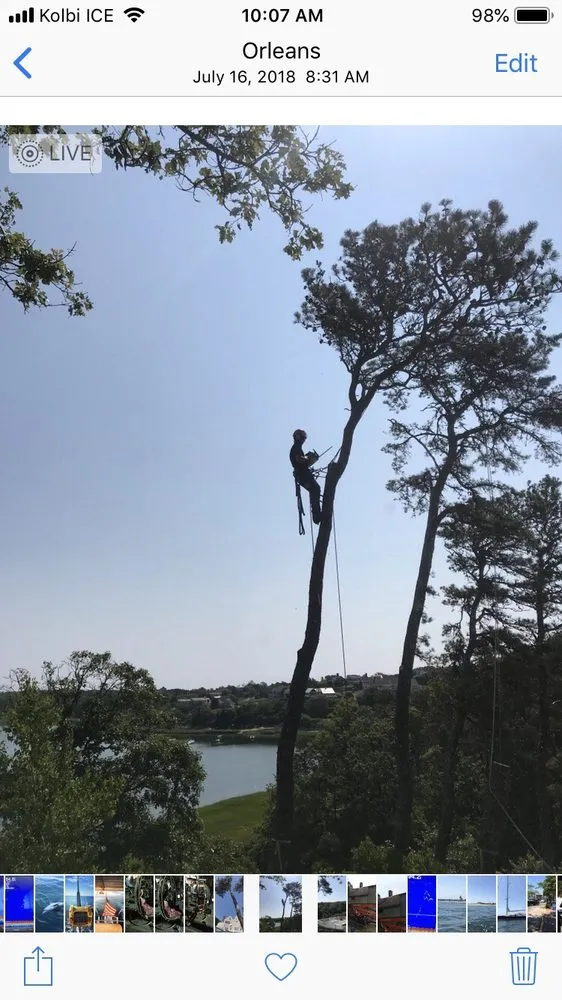 Custom lawn mowing service near you in Brewster, MA by Arbortech