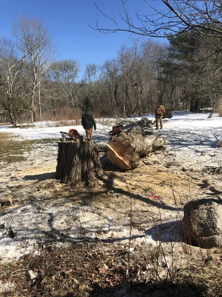 Professional landscaping services in Brewster, MA - Arbortech