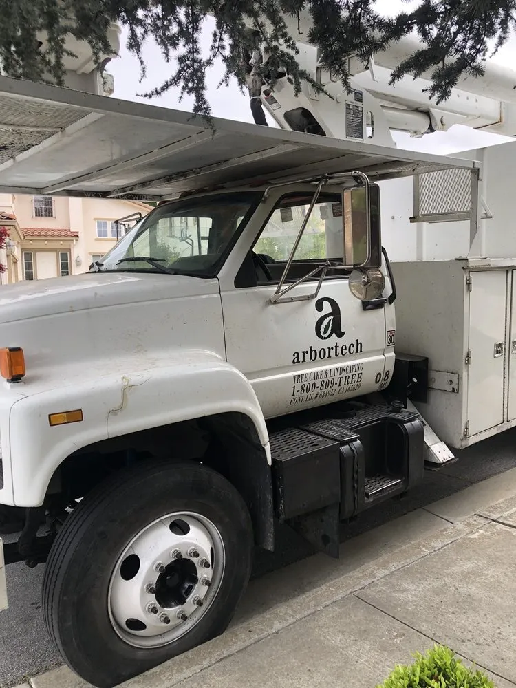 Professional lawn mowing service in Hayward, CA - ArborTech