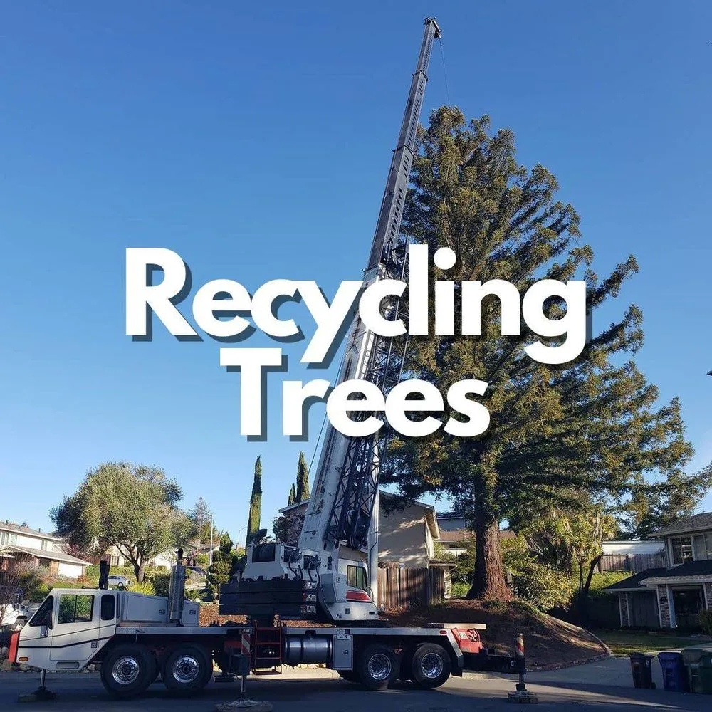 Local landscape installation experts serving Hayward, CA - ArborTech