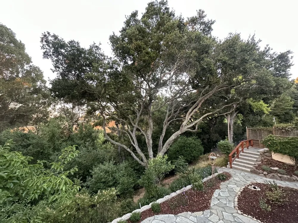 Expert landscape installation experts serving Hayward, CA - ArborTech