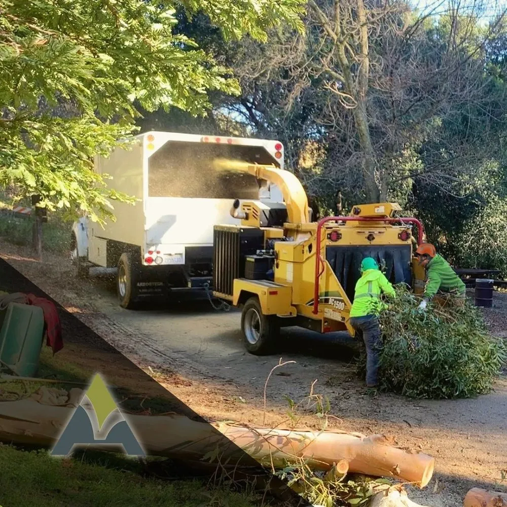 Affordable lawn care service for beautiful yards across Hayward, CA - ArborTech