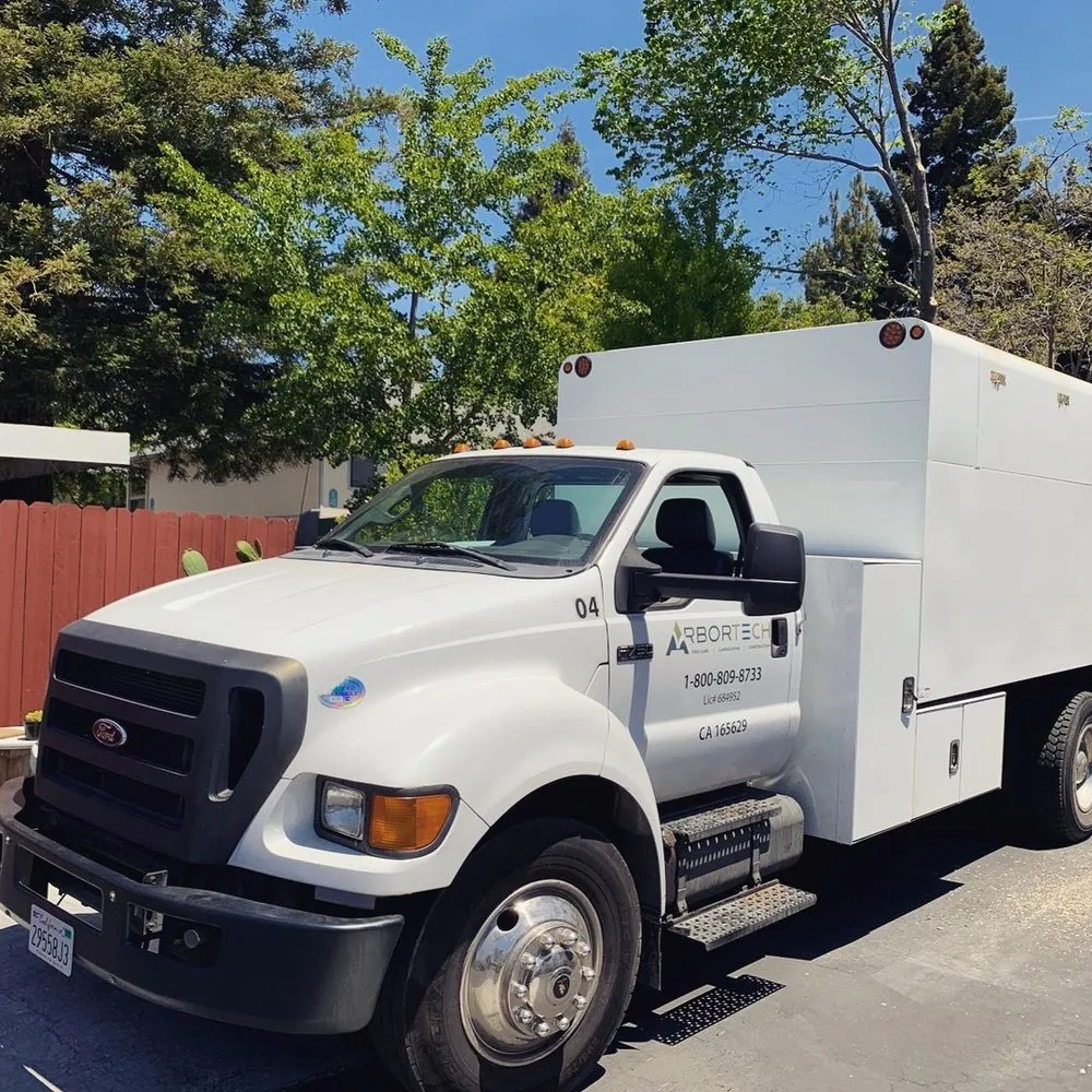 Professional yard cleanup service for residential properties in Hayward, CA by ArborTech