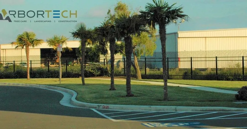 Trusted outdoor landscaping in Hayward, CA by ArborTech