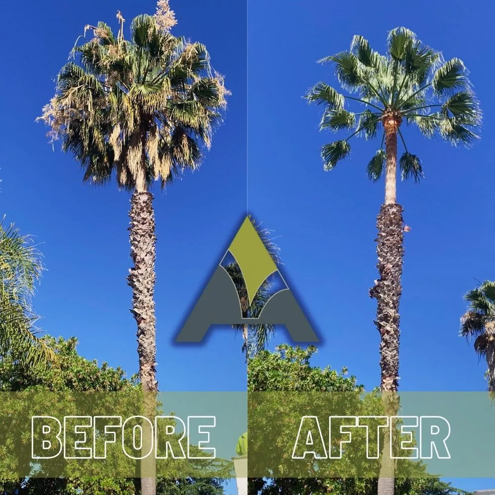 Professional landscaping services in Hayward, CA by ArborTech