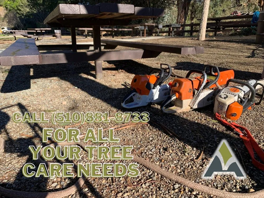 Local landscape design for outdoor upgrades across Hayward, CA - ArborTech