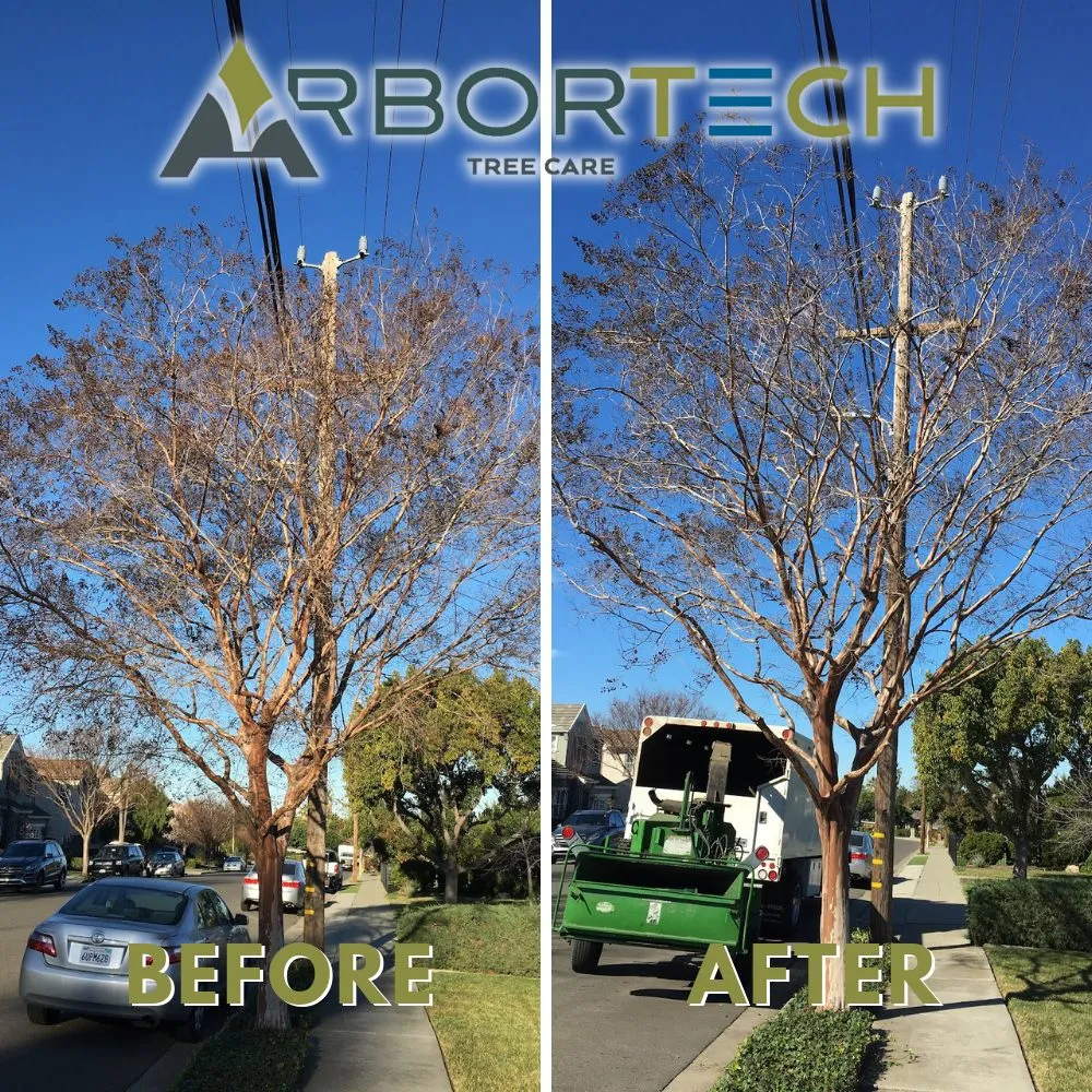 Affordable lawn mowing service for beautiful yards across Hayward, CA - ArborTech