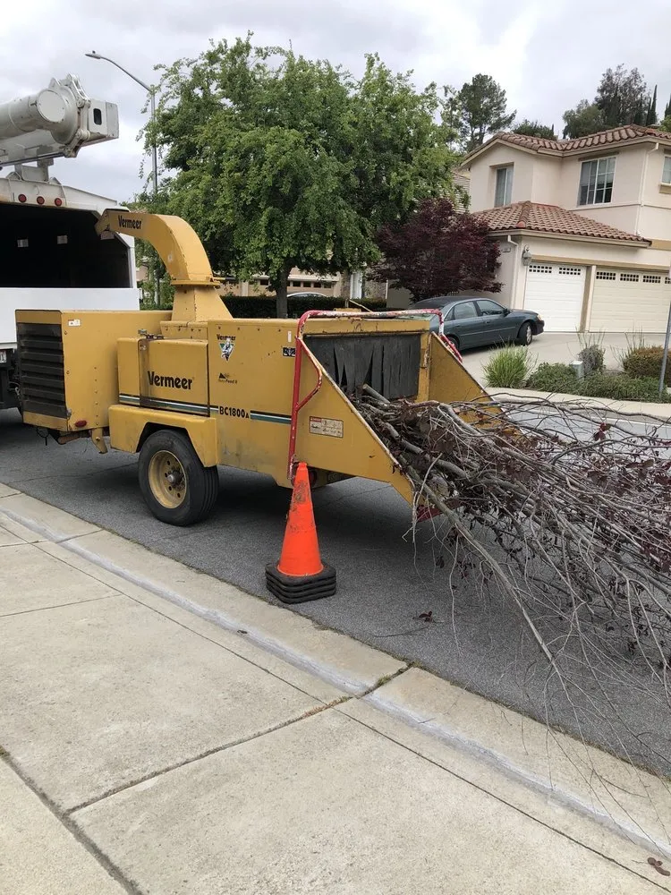 Local lawn care service in Hayward, CA - ArborTech