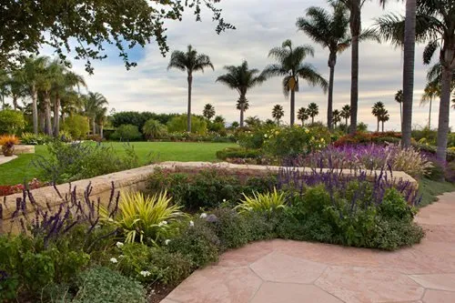 Professional residential landscaping near you in Seal Beach, CA by Arbortech Landcare
