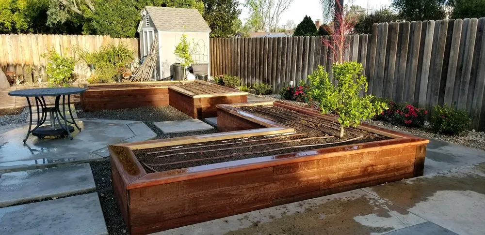 Top-rated yard cleanup service for homes in Seal Beach, CA by Arbortech Landcare