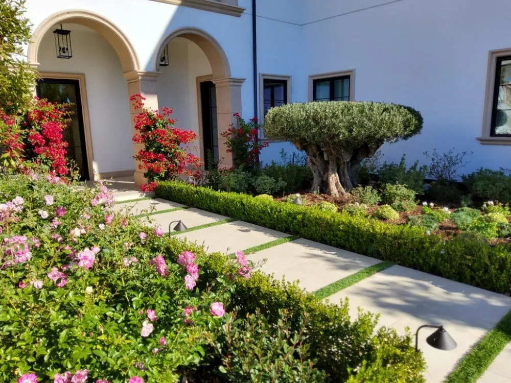 Top-rated yard maintenance in Seal Beach, CA - Arbortech Landcare