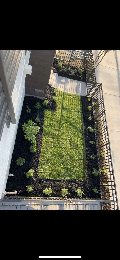 Top-rated landscape installation in Seal Beach, CA - Arbortech Landcare