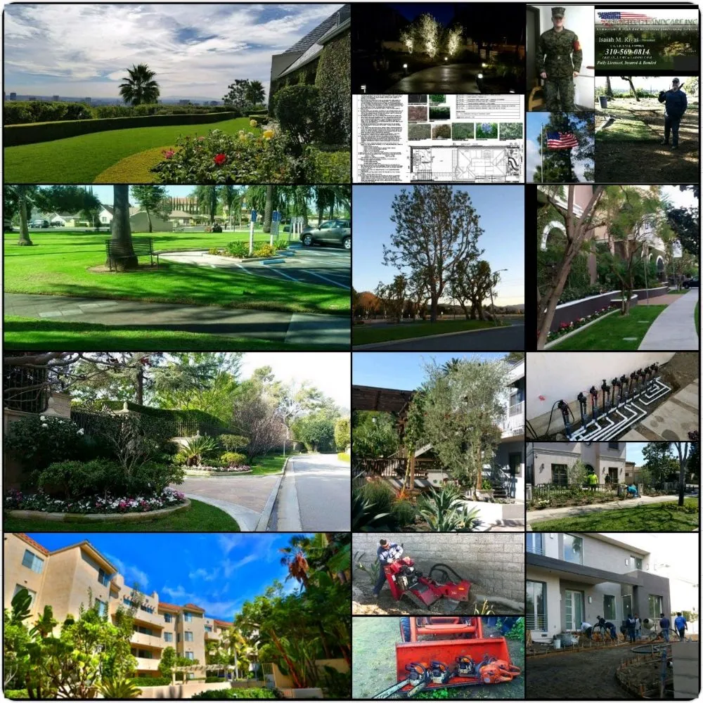 Trusted landscape design in Seal Beach, CA by Arbortech Landcare