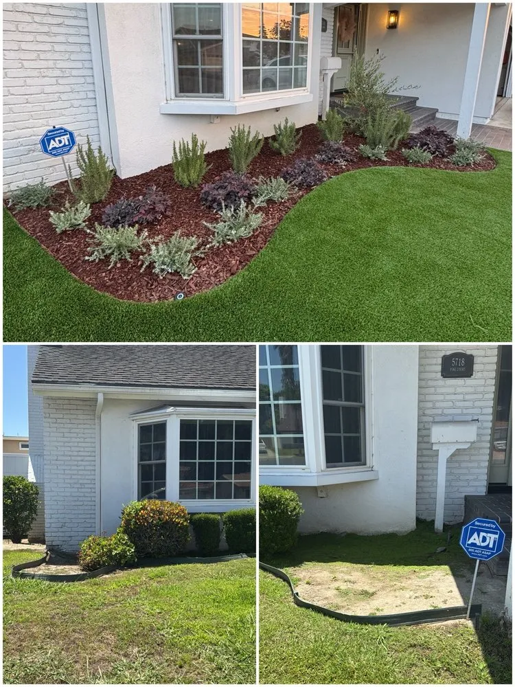 Expert outdoor landscaping for year-round maintenance in Seal Beach, CA by Arbortech Landcare