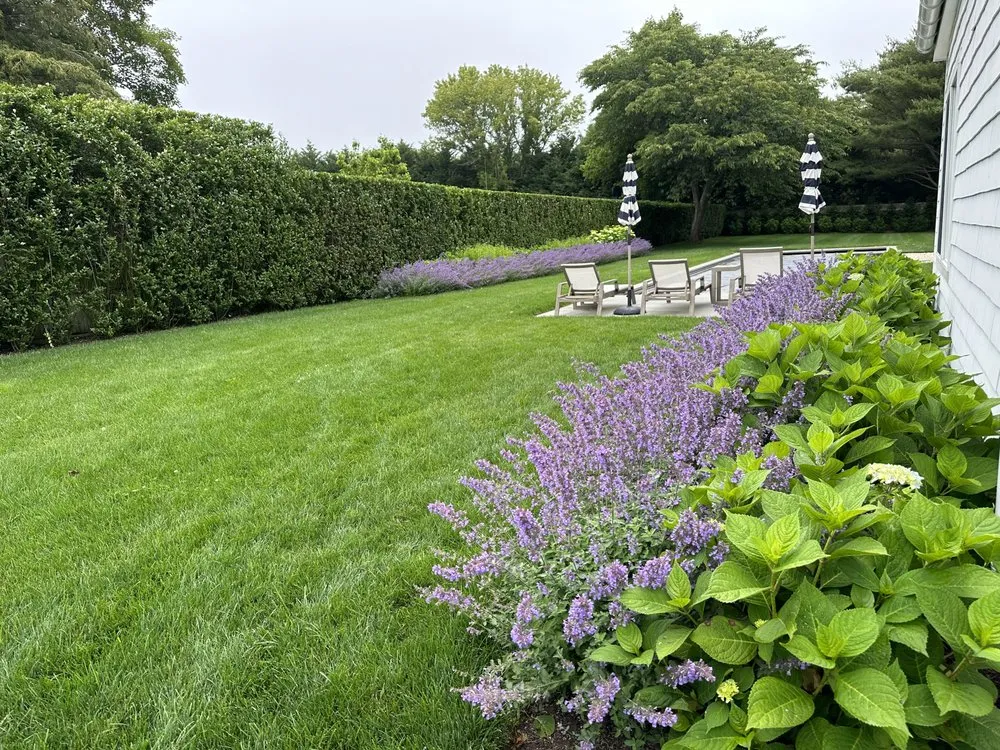 Custom lawn care service for residential properties in East Hampton, NY by Arbortech Lawn & Tree Care