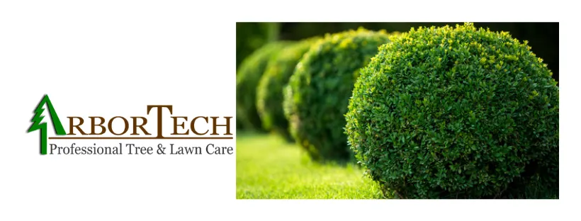Trusted yard cleanup service experts serving East Hampton, NY - Arbortech Lawn & Tree Care