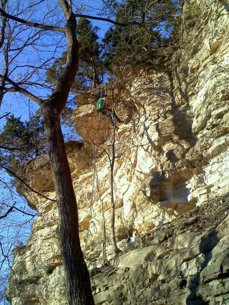 Reliable landscape installation in Mexico, MO by ArborTech Tree Service & Landscaping