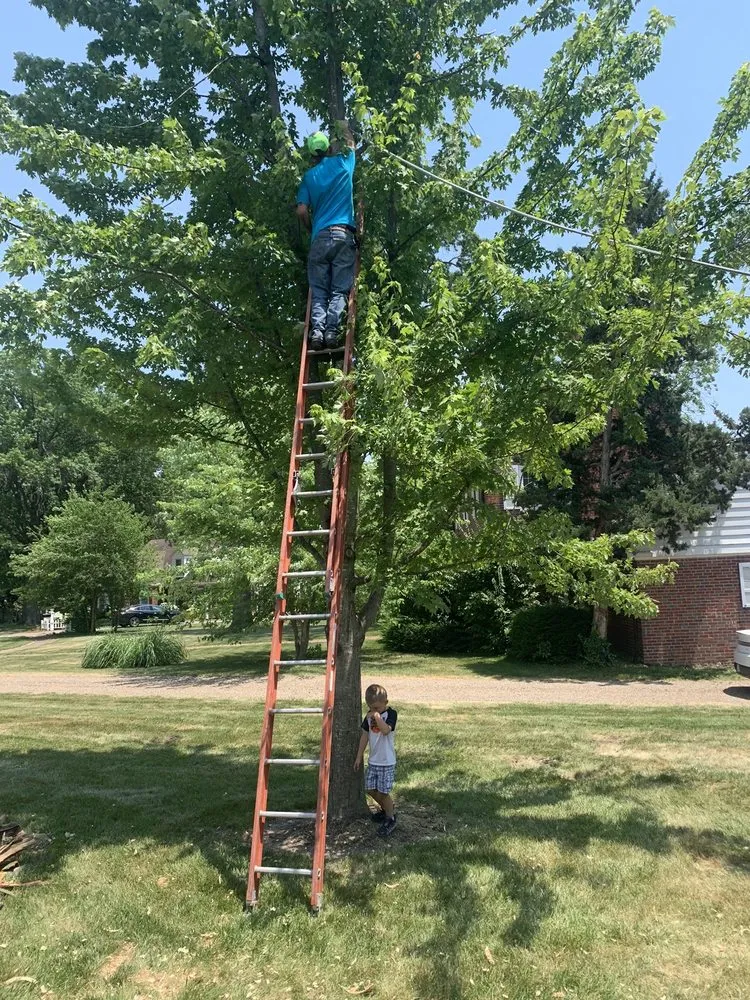 Expert garden landscaping with custom design in Mexico, MO by ArborTech Tree Service & Landscaping