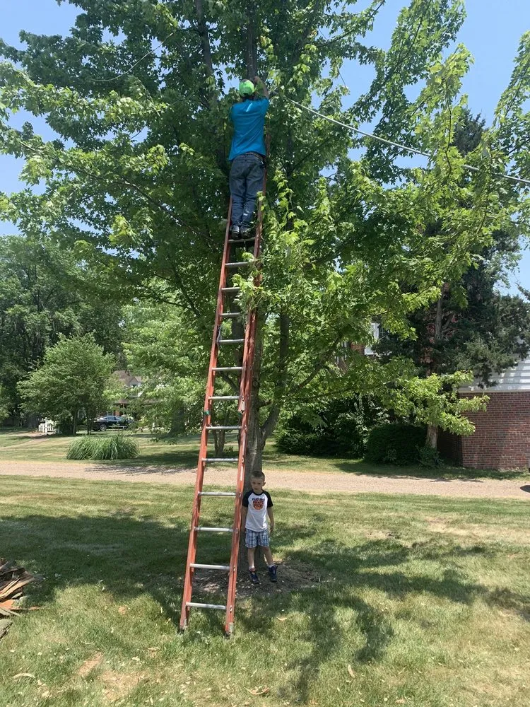Reliable outdoor landscaping for residential properties across Mexico, MO - ArborTech Tree Service & Landscaping