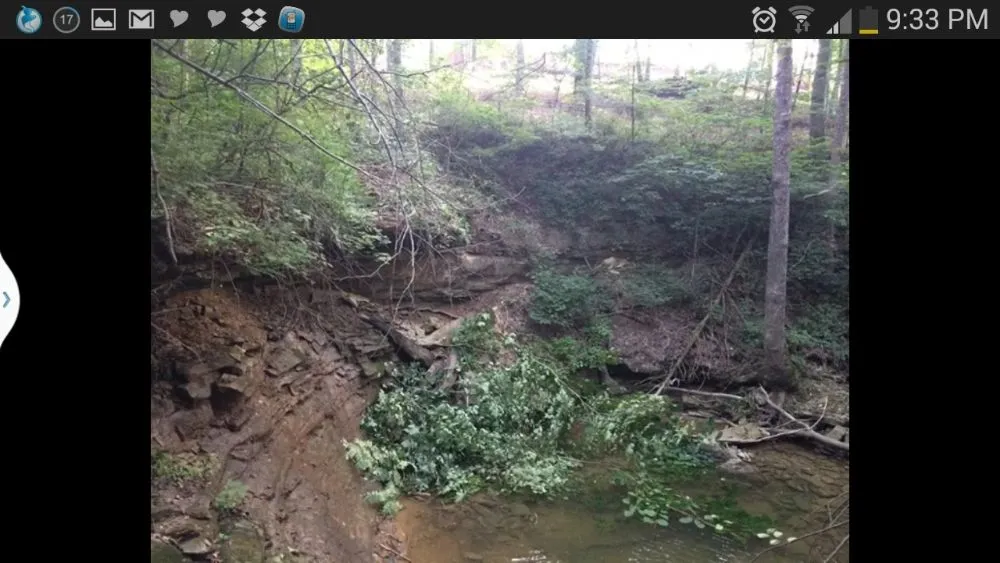 Top-rated landscaping services with custom design in Mexico, MO by ArborTech Tree Service & Landscaping