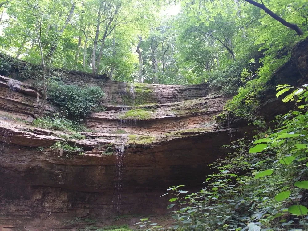 Custom lawn mowing service for homes across Mexico, MO - ArborTech Tree Service & Landscaping