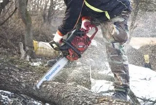 Custom lawn care service for year-round maintenance in Clifton Park, NY by Arbortech Tree Service