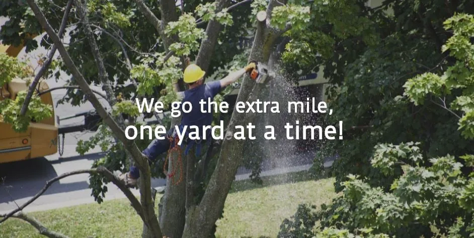 Top-rated landscape design for residential properties in Clifton Park, NY by Arbortech Tree Service