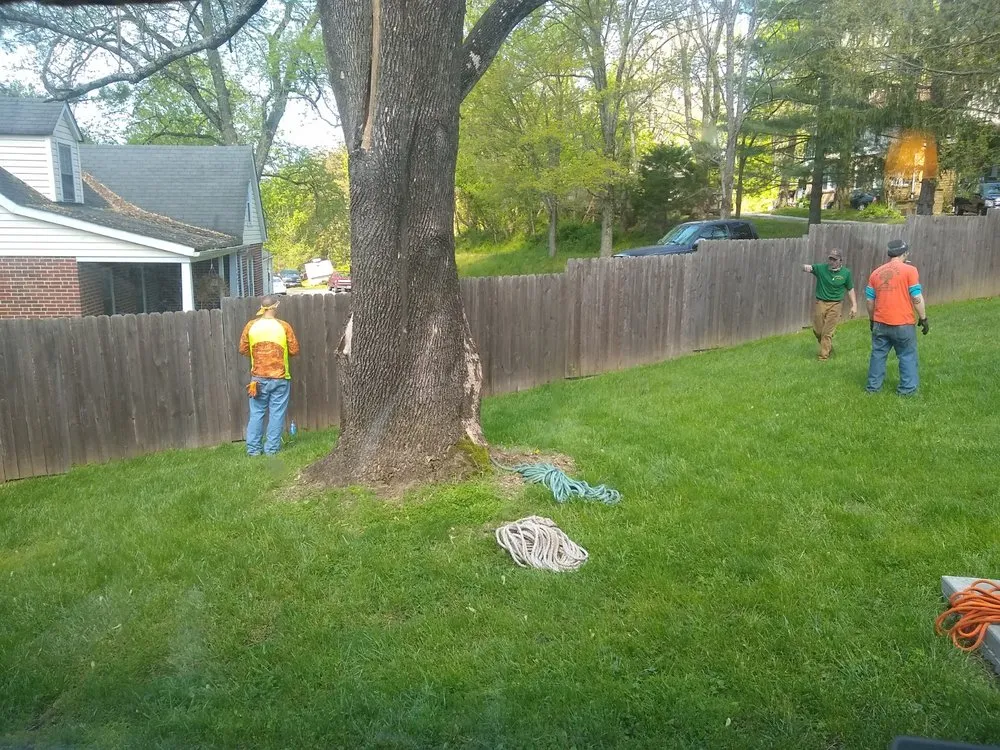 Reliable lawn mowing service experts serving Westminster, MD - Arbortech Tree Services