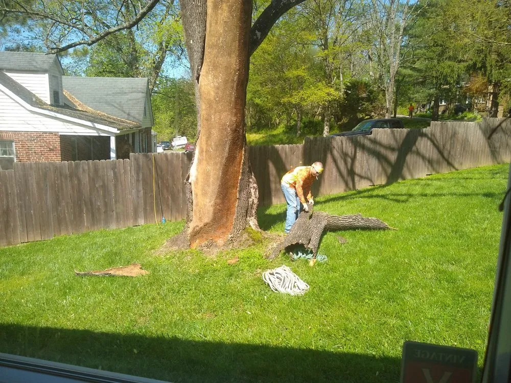 Top-rated landscaping services for beautiful yards across Westminster, MD - Arbortech Tree Services