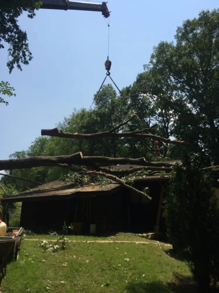 Custom outdoor landscaping near you in Thurmont, MD by Arbortecture