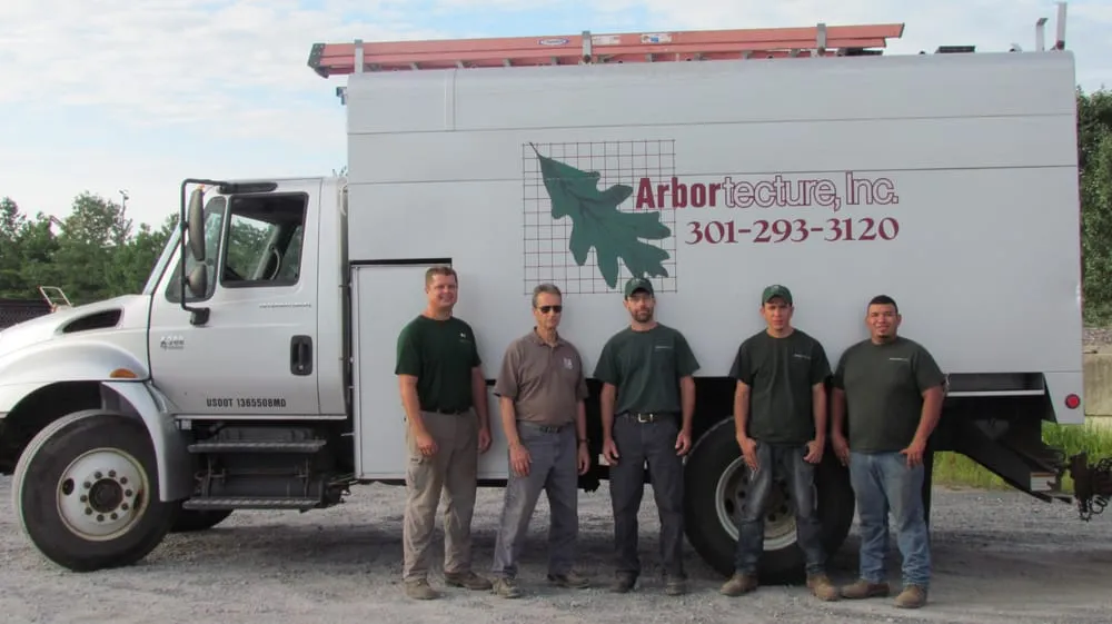 Trusted lawn mowing service experts serving Thurmont, MD - Arbortecture