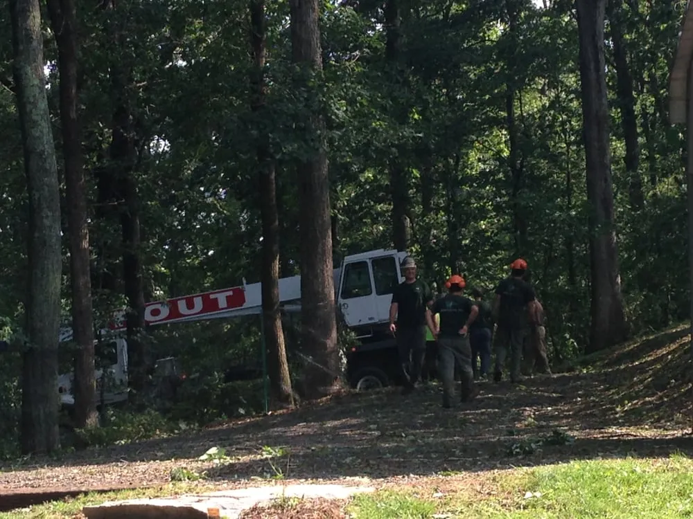 Affordable landscape design experts serving Thurmont, MD - Arbortecture