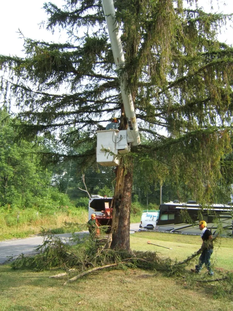 Trusted landscaping services for residential properties across Thurmont, MD - Arbortecture