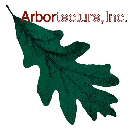 Trusted outdoor landscaping for beautiful yards across Thurmont, MD - Arbortecture