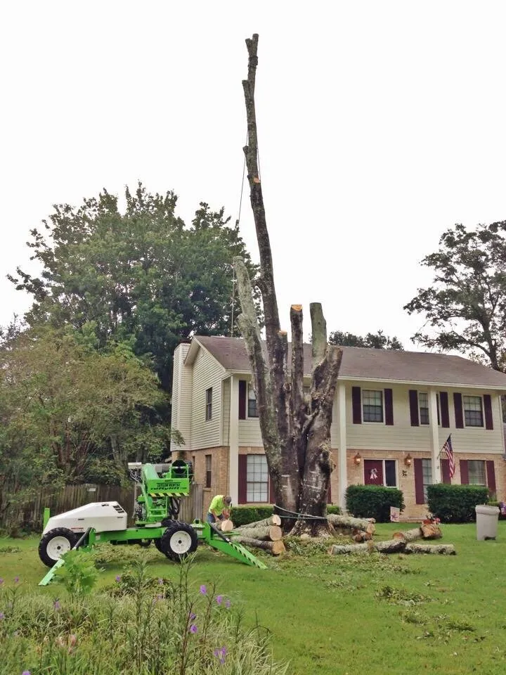 Local landscape design experts serving Jacksonville, FL - Arborvation Tree Care & Land Mgmt