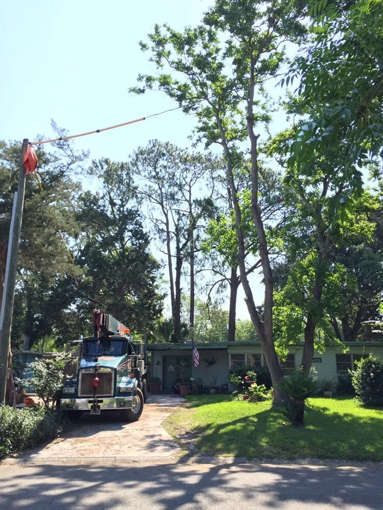 Local yard cleanup service experts serving Jacksonville, FL - Arborvation Tree Care & Land Mgmt