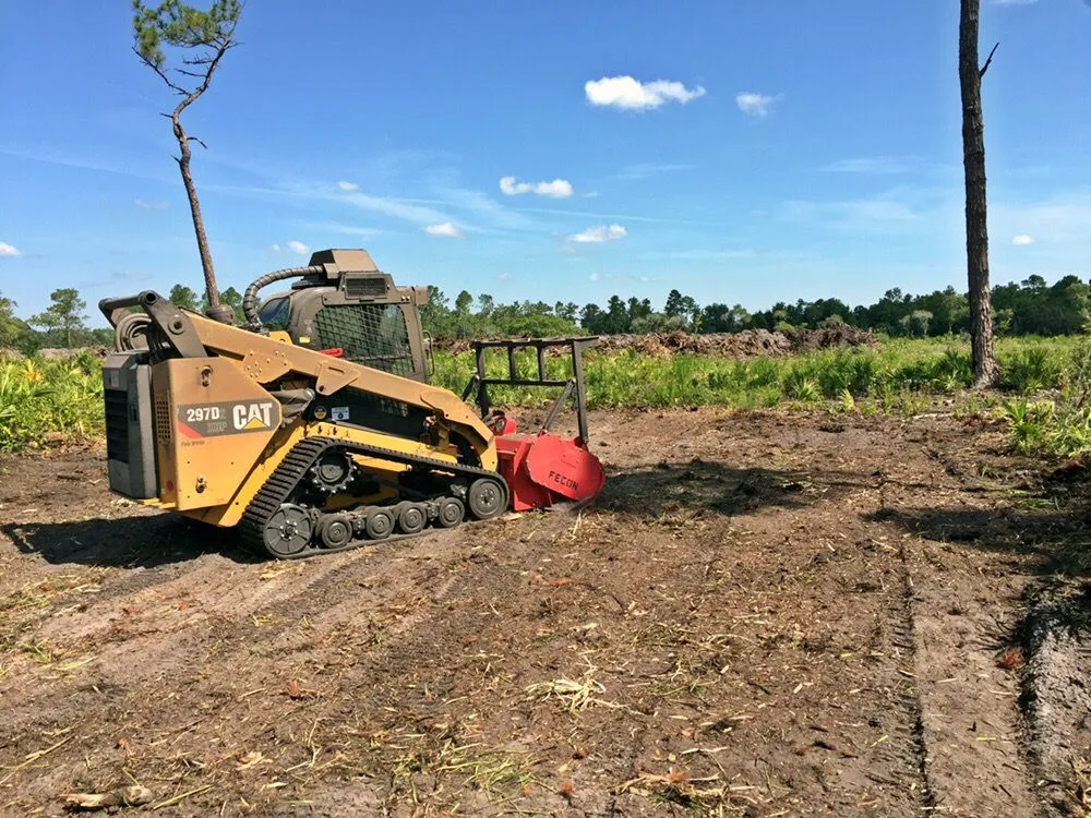Affordable residential landscaping experts serving Jacksonville, FL - Arborvation Tree Care & Land Mgmt