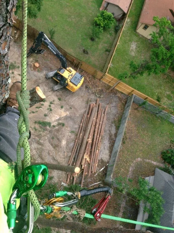 Affordable garden landscaping in Jacksonville, FL - Arborvation Tree Care & Land Mgmt