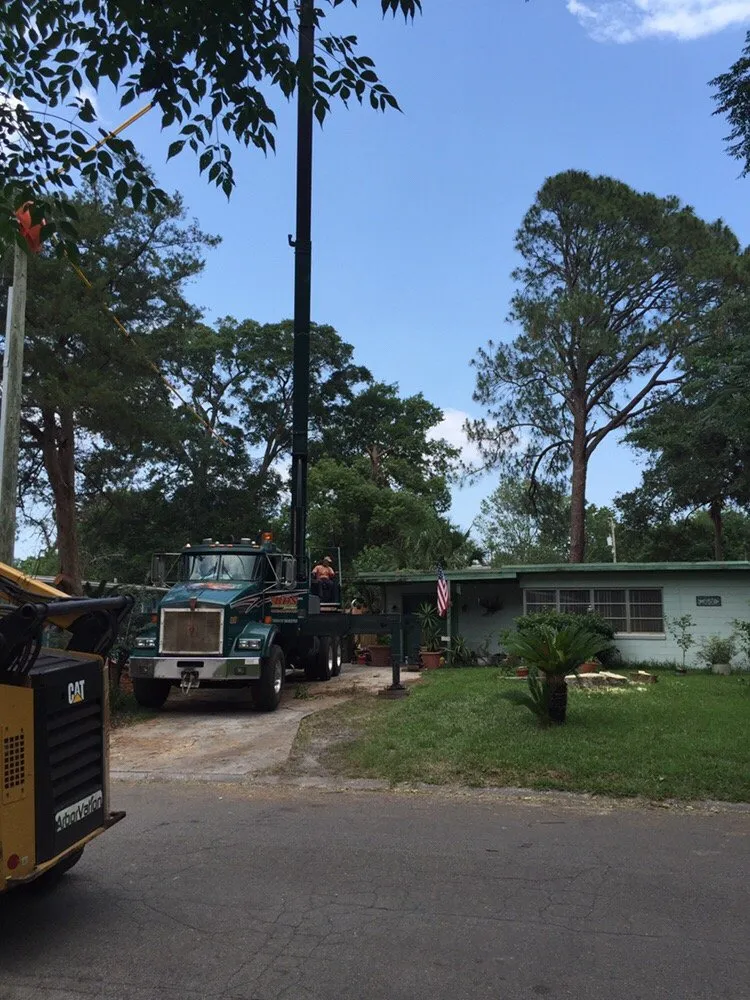 Professional landscaping services experts serving Jacksonville, FL - Arborvation Tree Care & Land Mgmt